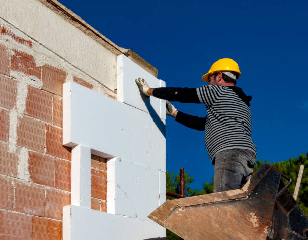 Professional Insulation Contractor in LA