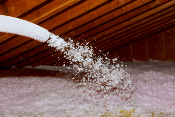 Best Insulation for Specific Applications in Eunice, LA