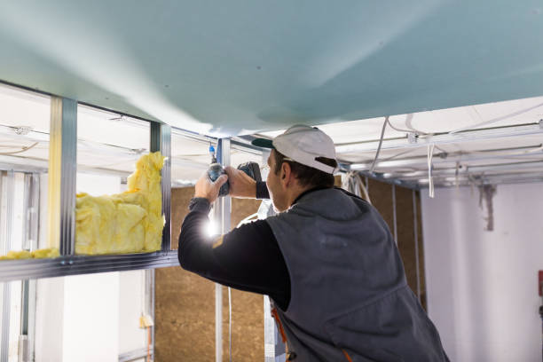 Best Residential Insulation in Eunice, LA