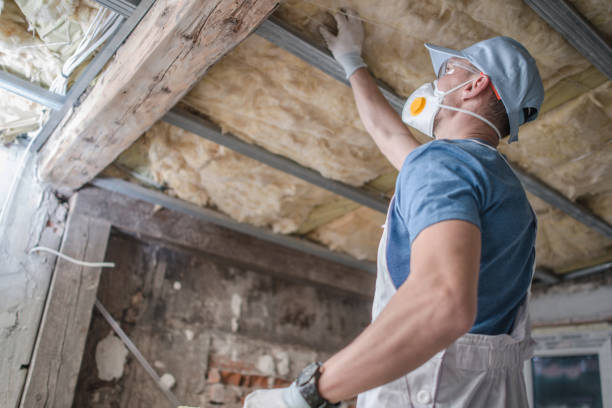 Best Commercial Insulation in Eunice, LA