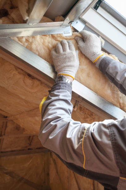 Best Specialty Insulation in Eunice, LA
