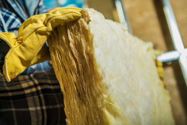 Professional Insulation Contractor in LA